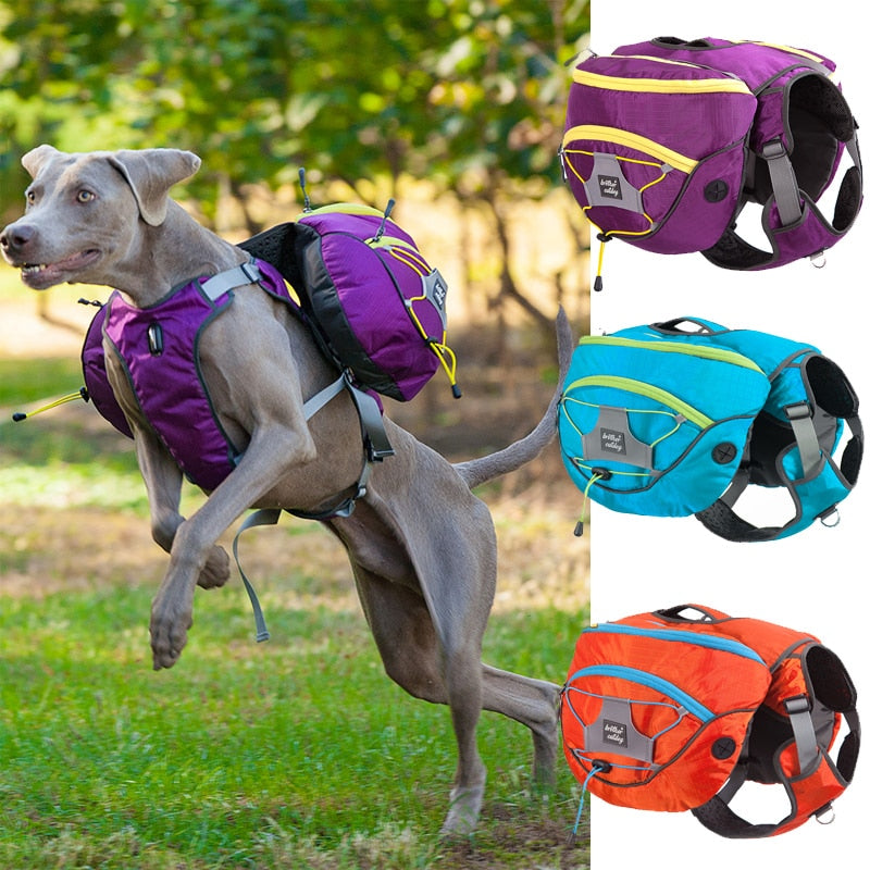 Explorer's Pet Carrier Backpack for Large Dogs
