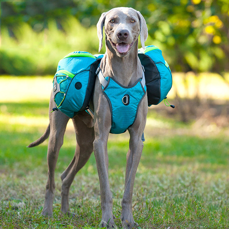 Explorer's Pet Carrier Backpack for Large Dogs